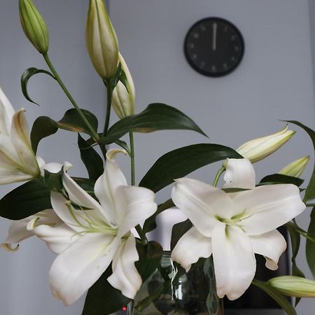 One More Night Apartment, Poznan Old Town ภายนอก รูปภาพ