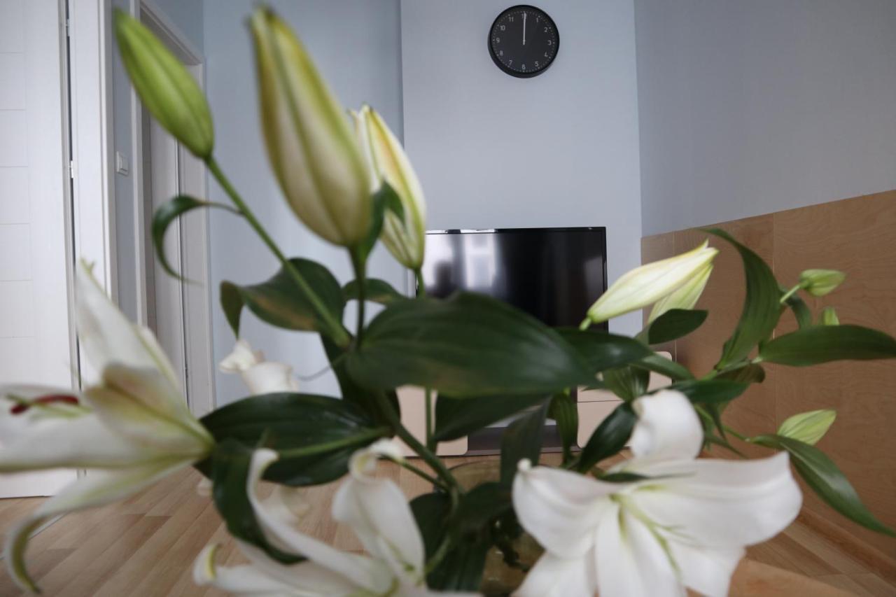 One More Night Apartment, Poznan Old Town ภายนอก รูปภาพ